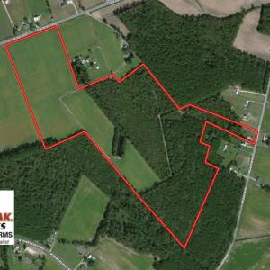 Photo of UNDER CONTRACT!  76 Acres of Farm and Timber Land For Sale in Robeson County NC!