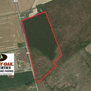 Photo of UNDER CONTRACT!  16.6 Acres of Hunting and Timber Land for Sale in Gates County NC!