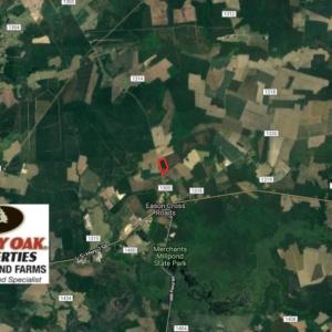 Photo of UNDER CONTRACT!  16.6 Acres of Hunting and Timber Land for Sale in Gates County NC!