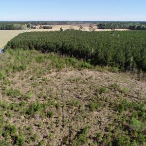 Photo of UNDER CONTRACT!  16.6 Acres of Hunting and Timber Land for Sale in Gates County NC!