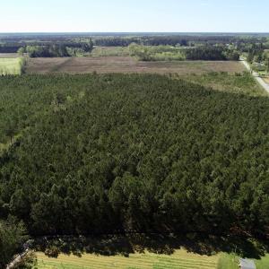 Photo of UNDER CONTRACT!  16.6 Acres of Hunting and Timber Land for Sale in Gates County NC!
