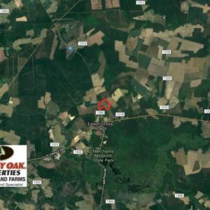 Photo of UNDER CONTRACT!  39 Acres of Hunting and Timber Land for Sale in Gates County NC!