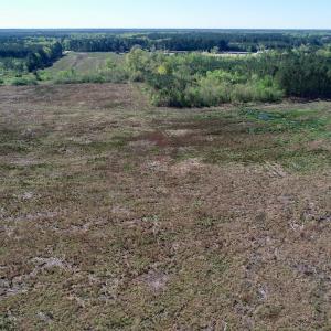 Photo of UNDER CONTRACT!  39 Acres of Hunting and Timber Land for Sale in Gates County NC!