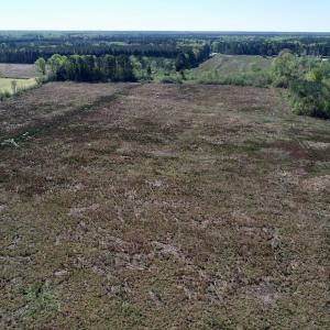 Photo of UNDER CONTRACT!  39 Acres of Hunting and Timber Land for Sale in Gates County NC!