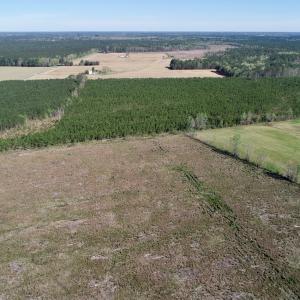 Photo of UNDER CONTRACT!  39 Acres of Hunting and Timber Land for Sale in Gates County NC!