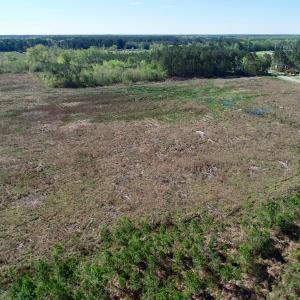 Photo of UNDER CONTRACT!  39 Acres of Hunting and Timber Land for Sale in Gates County NC!