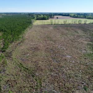 Photo of UNDER CONTRACT!  39 Acres of Hunting and Timber Land for Sale in Gates County NC!