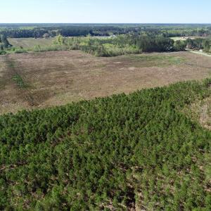 Photo of UNDER CONTRACT!  39 Acres of Hunting and Timber Land for Sale in Gates County NC!