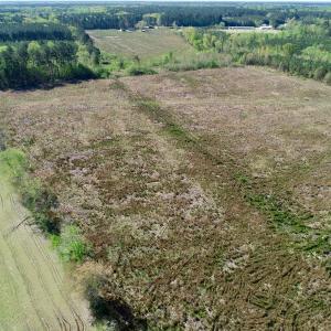 Photo of UNDER CONTRACT!  39 Acres of Hunting and Timber Land for Sale in Gates County NC!