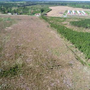 Photo of UNDER CONTRACT!  39 Acres of Hunting and Timber Land for Sale in Gates County NC!