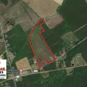 Photo of UNDER CONTRACT!  23.35 Acres of Hunting and Timber Land for Sale in Gates County NC!