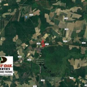 Photo of UNDER CONTRACT!  23.35 Acres of Hunting and Timber Land for Sale in Gates County NC!