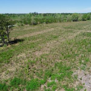 Photo of UNDER CONTRACT!  23.35 Acres of Hunting and Timber Land for Sale in Gates County NC!