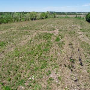 Photo of UNDER CONTRACT!  23.35 Acres of Hunting and Timber Land for Sale in Gates County NC!