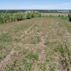 Photo of UNDER CONTRACT!  23.35 Acres of Hunting and Timber Land for Sale in Gates County NC!