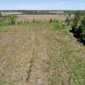 Photo of UNDER CONTRACT!  23.35 Acres of Hunting and Timber Land for Sale in Gates County NC!