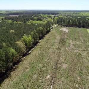 Photo of UNDER CONTRACT!  23.35 Acres of Hunting and Timber Land for Sale in Gates County NC!