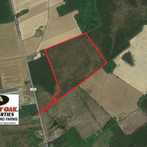 Photo of UNDER CONTRACT!  33.8 Acres of Hunting and Timber Land For Sale in Gates County NC!