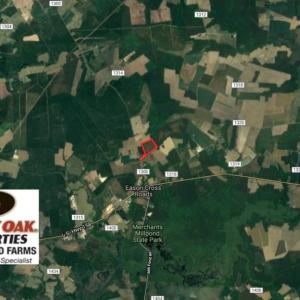 Photo of UNDER CONTRACT!  33.8 Acres of Hunting and Timber Land For Sale in Gates County NC!