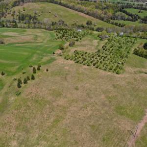 Photo of SOLD!  20 Acres of Equestrian Farm and Residential Land For Sale in Rockbridge County VA!