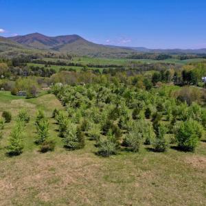 Photo of SOLD!  20 Acres of Equestrian Farm and Residential Land For Sale in Rockbridge County VA!