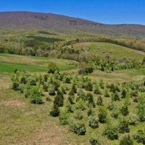 Photo of SOLD!  20 Acres of Equestrian Farm and Residential Land For Sale in Rockbridge County VA!