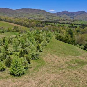 Photo of SOLD!  20 Acres of Equestrian Farm and Residential Land For Sale in Rockbridge County VA!