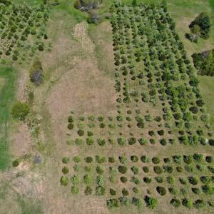 Photo of SOLD!  20 Acres of Equestrian Farm and Residential Land For Sale in Rockbridge County VA!
