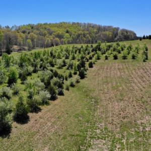 Photo of SOLD!  20 Acres of Equestrian Farm and Residential Land For Sale in Rockbridge County VA!
