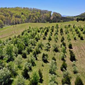 Photo of SOLD!  20 Acres of Equestrian Farm and Residential Land For Sale in Rockbridge County VA!