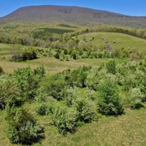 Photo of SOLD!  20 Acres of Equestrian Farm and Residential Land For Sale in Rockbridge County VA!