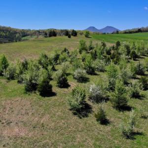 Photo of SOLD!  20 Acres of Equestrian Farm and Residential Land For Sale in Rockbridge County VA!