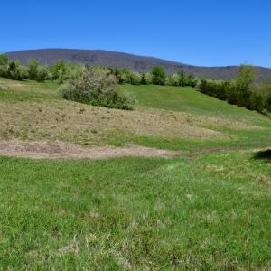 Photo of SOLD!  20 Acres of Equestrian Farm and Residential Land For Sale in Rockbridge County VA!
