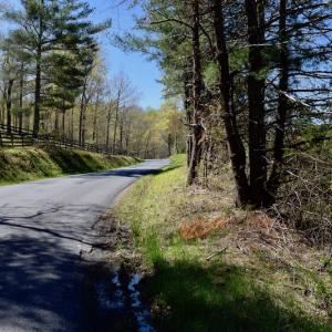 Photo of SOLD!  20 Acres of Equestrian Farm and Residential Land For Sale in Rockbridge County VA!