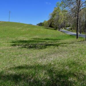 Photo of SOLD!  20 Acres of Equestrian Farm and Residential Land For Sale in Rockbridge County VA!
