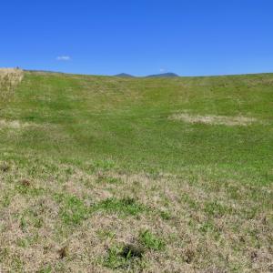 Photo of SOLD!  20 Acres of Equestrian Farm and Residential Land For Sale in Rockbridge County VA!
