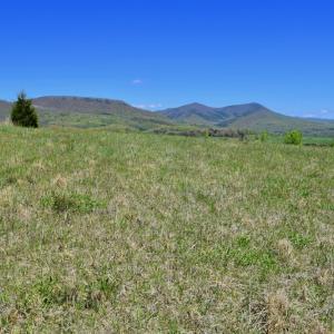 Photo of SOLD!  20 Acres of Equestrian Farm and Residential Land For Sale in Rockbridge County VA!