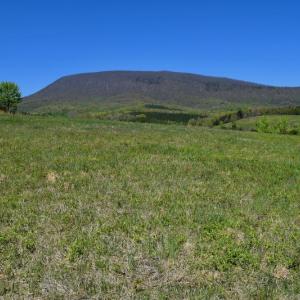 Photo of SOLD!  20 Acres of Equestrian Farm and Residential Land For Sale in Rockbridge County VA!