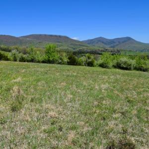 Photo of SOLD!  20 Acres of Equestrian Farm and Residential Land For Sale in Rockbridge County VA!