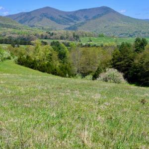 Photo of SOLD!  20 Acres of Equestrian Farm and Residential Land For Sale in Rockbridge County VA!
