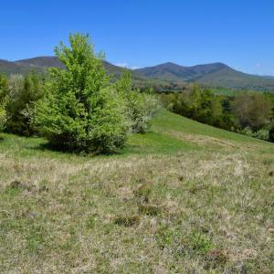 Photo of SOLD!  20 Acres of Equestrian Farm and Residential Land For Sale in Rockbridge County VA!