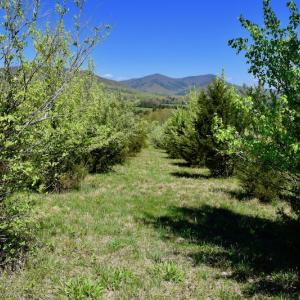 Photo of SOLD!  20 Acres of Equestrian Farm and Residential Land For Sale in Rockbridge County VA!