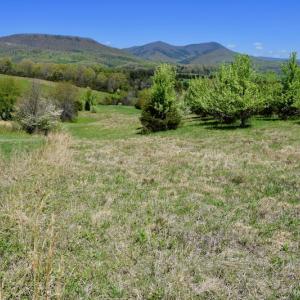 Photo of SOLD!  20 Acres of Equestrian Farm and Residential Land For Sale in Rockbridge County VA!