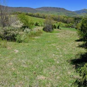 Photo of SOLD!  20 Acres of Equestrian Farm and Residential Land For Sale in Rockbridge County VA!