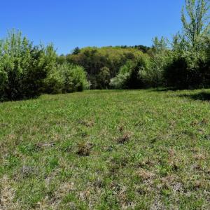Photo of SOLD!  20 Acres of Equestrian Farm and Residential Land For Sale in Rockbridge County VA!