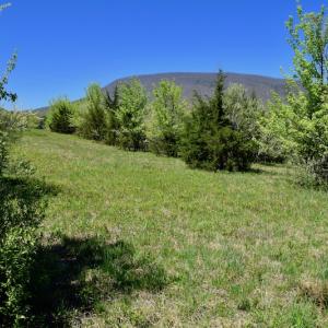 Photo of SOLD!  20 Acres of Equestrian Farm and Residential Land For Sale in Rockbridge County VA!
