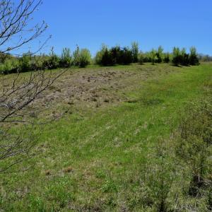 Photo of SOLD!  20 Acres of Equestrian Farm and Residential Land For Sale in Rockbridge County VA!