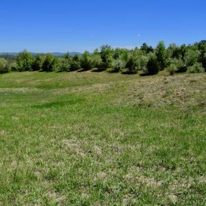 Photo of SOLD!  20 Acres of Equestrian Farm and Residential Land For Sale in Rockbridge County VA!