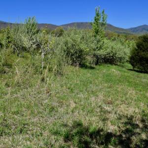 Photo of SOLD!  20 Acres of Equestrian Farm and Residential Land For Sale in Rockbridge County VA!