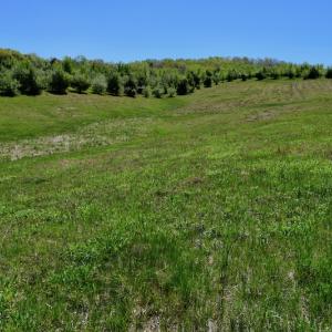 Photo of SOLD!  20 Acres of Equestrian Farm and Residential Land For Sale in Rockbridge County VA!